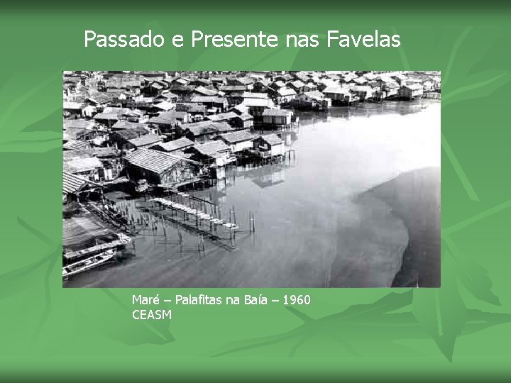 Passado e Presente nas Favelas Maré – Palafitas na Baía – 1960 CEASM 