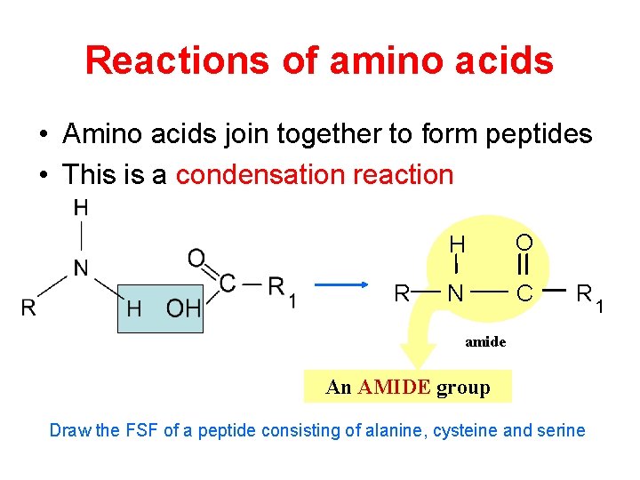 Reactions of amino acids • Amino acids join together to form peptides • This