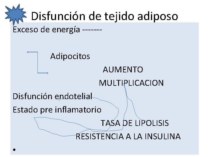 Disfunción de tejido adiposo Exceso de energía ------- Adipocitos AUMENTO MULTIPLICACION Disfunción endotelial Estado