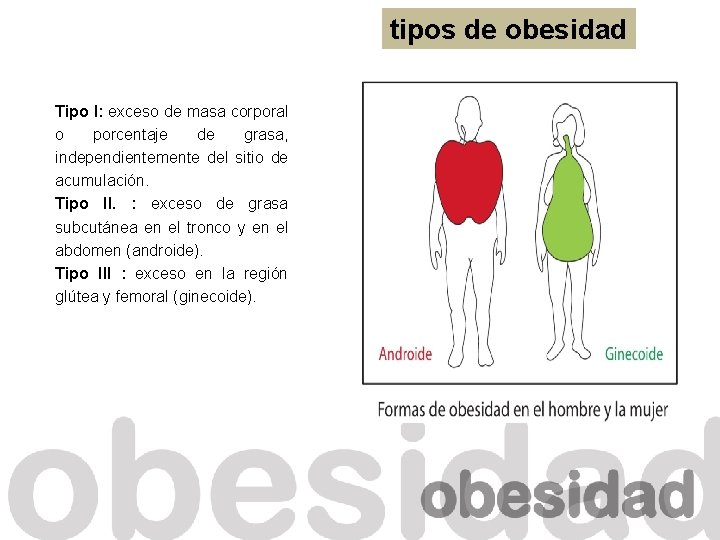 tipos de obesidad Tipo I: exceso de masa corporal o porcentaje de grasa, independientemente