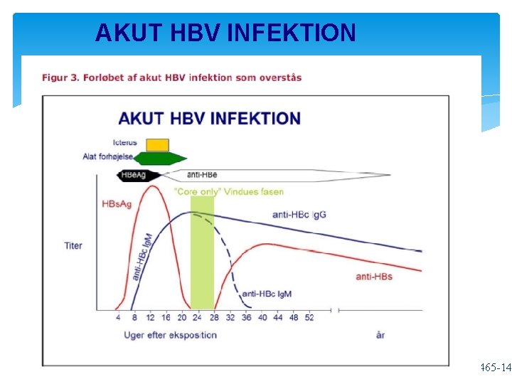 AKUT HBV INFEKTION ”Core only” Vindues fasen HBs. Ag Ig. M anti-HBc Ig. G AKUT HBV INFEKTION ”Core only” Vindues fasen HBs. Ag Ig. M anti-HBc Ig. G