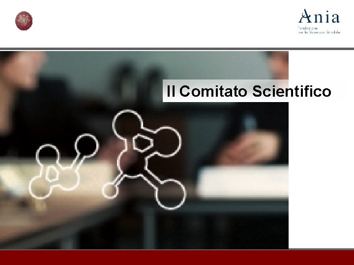 Il Comitato Scientifico 