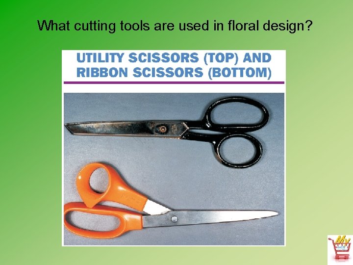 What cutting tools are used in floral design? 