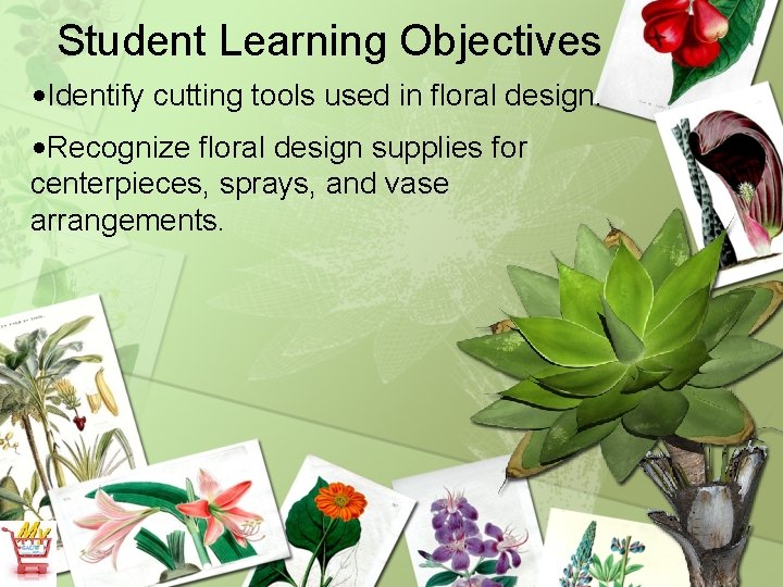 Student Learning Objectives • Identify cutting tools used in floral design. • Recognize floral