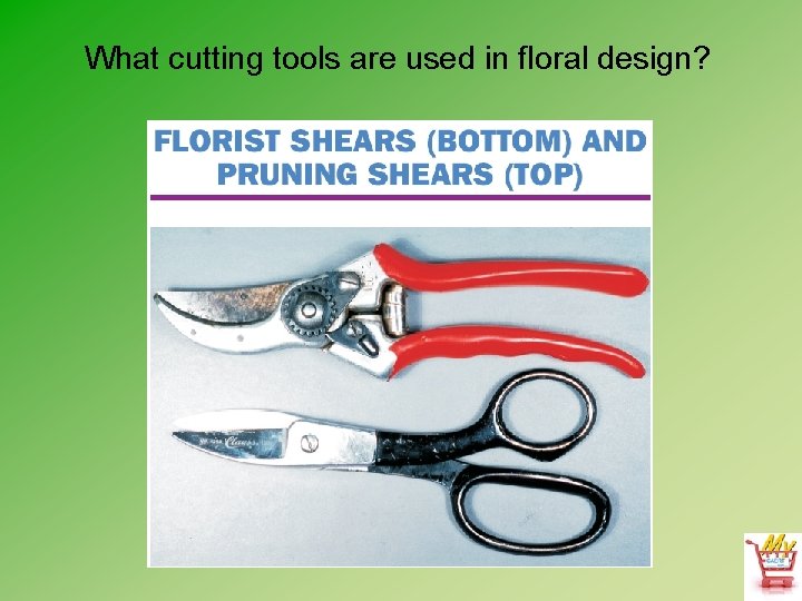 What cutting tools are used in floral design? 