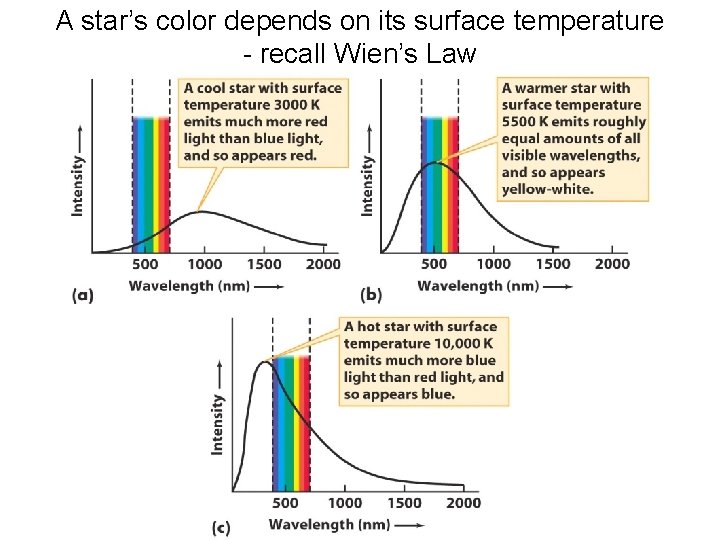 A star’s color depends on its surface temperature - recall Wien’s Law 