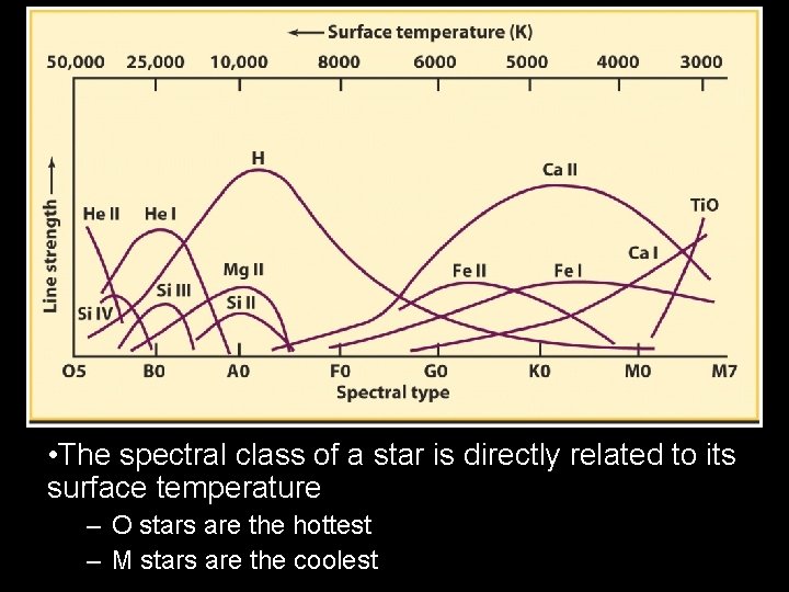  • The spectral class of a star is directly related to its surface