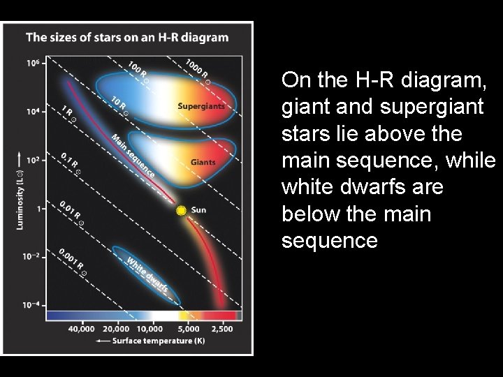 On the H-R diagram, giant and supergiant stars lie above the main sequence, while