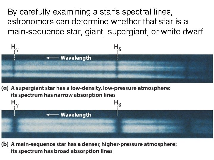 By carefully examining a star’s spectral lines, astronomers can determine whether that star is