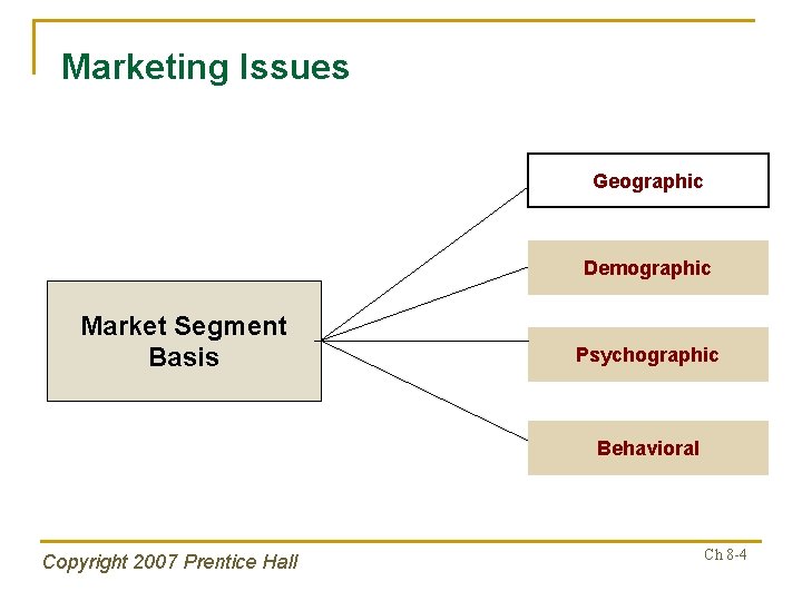 Marketing Issues Geographic Demographic Market Segment Basis Psychographic Behavioral Copyright 2007 Prentice Hall Ch