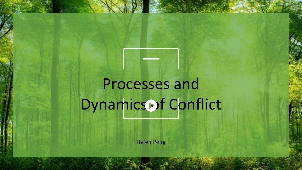 Processes and Dynamics of Conflict Helen Peng 