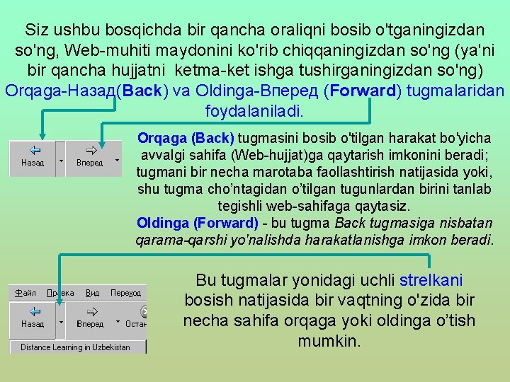 Siz ushbu bosqichda bir qancha oraliqni bosib o'tganingizdan so'ng, Web-muhiti maydonini ko'rib chiqqaningizdan so'ng