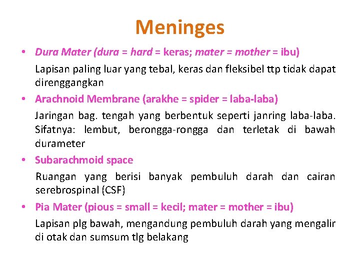 Meninges • Dura Mater (dura = hard = keras; mater = mother = ibu)