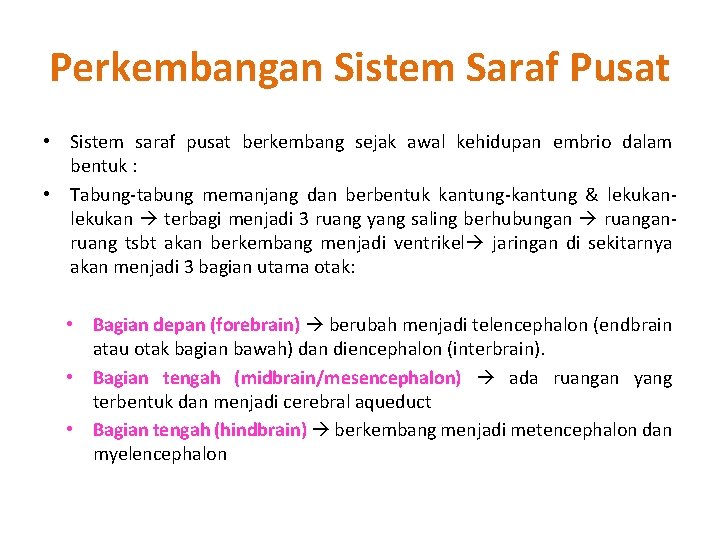 Perkembangan Sistem Saraf Pusat • Sistem saraf pusat berkembang sejak awal kehidupan embrio dalam