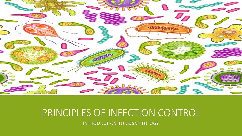 PRINCIPLES OF INFECTION CONTROL INTRODUCTION TO COSMETOLOGY 