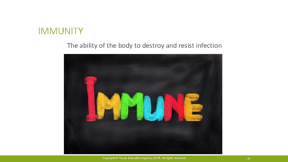 IMMUNITY The ability of the body to destroy and resist infection Copyright © Texas