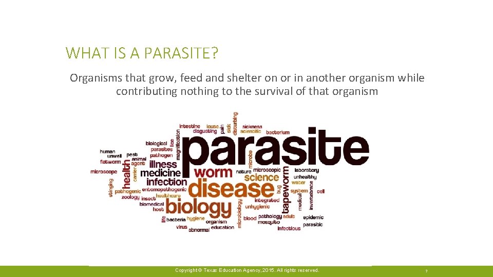 WHAT IS A PARASITE? Organisms that grow, feed and shelter on or in another