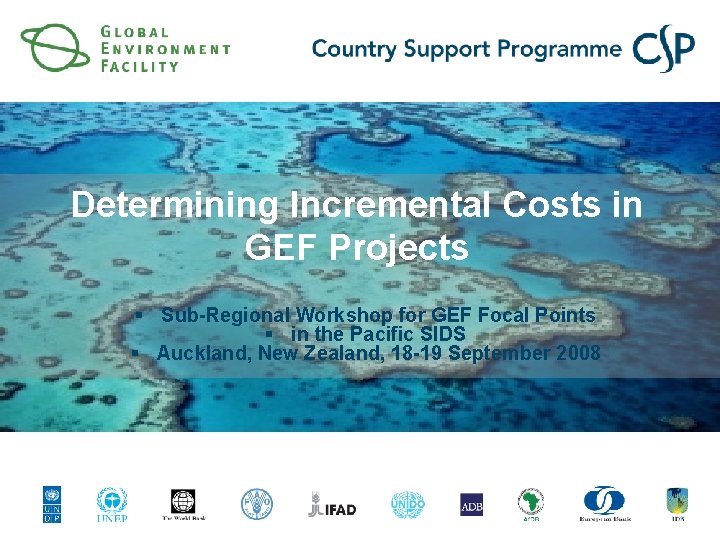 Determining Incremental Costs in GEF Projects § Sub-Regional Workshop for GEF Focal Points §