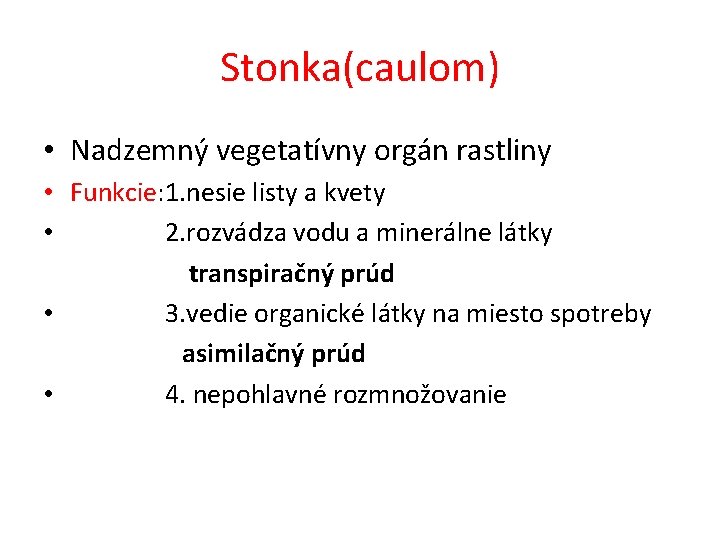 Stonka(caulom) • Nadzemný vegetatívny orgán rastliny • Funkcie: 1. nesie listy a kvety •