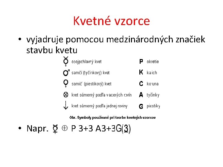 Kvetné vzorce • vyjadruje pomocou medzinárodných značiek stavbu kvetu • Napr. P 3+3 A