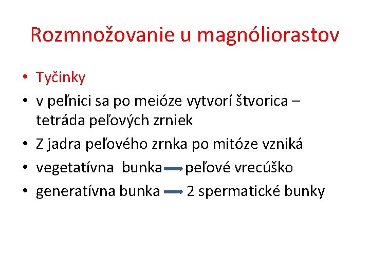 Rozmnožovanie u magnóliorastov • Tyčinky • v peľnici sa po meióze vytvorí štvorica –