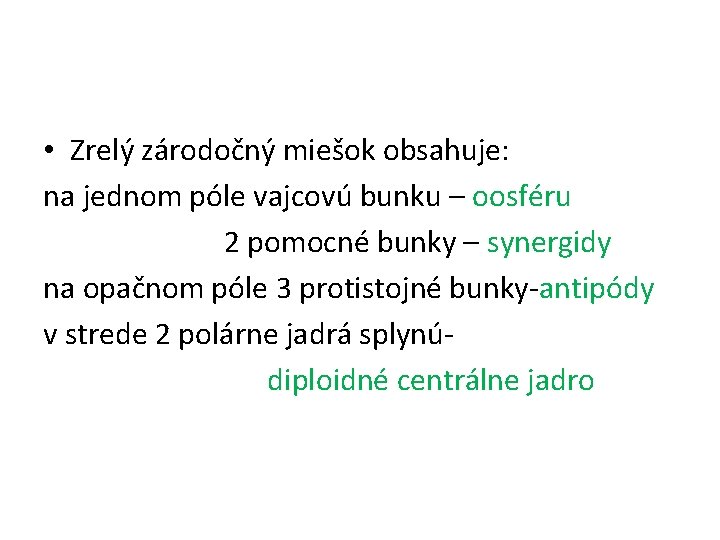  • Zrelý zárodočný miešok obsahuje: na jednom póle vajcovú bunku – oosféru 2