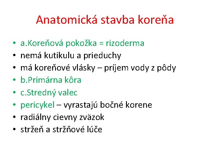 Anatomická stavba koreňa • • a. Koreňová pokožka = rizoderma nemá kutikulu a prieduchy