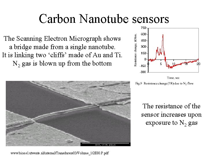 Carbon Nanotube sensors The Scanning Electron Micrograph shows a bridge made from a single