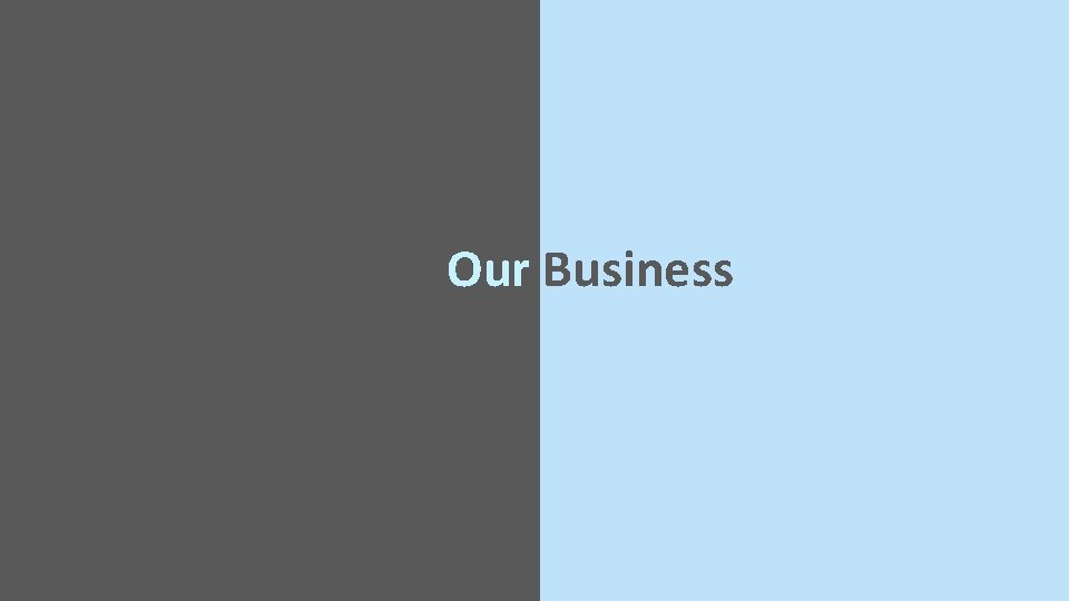 Our Business 