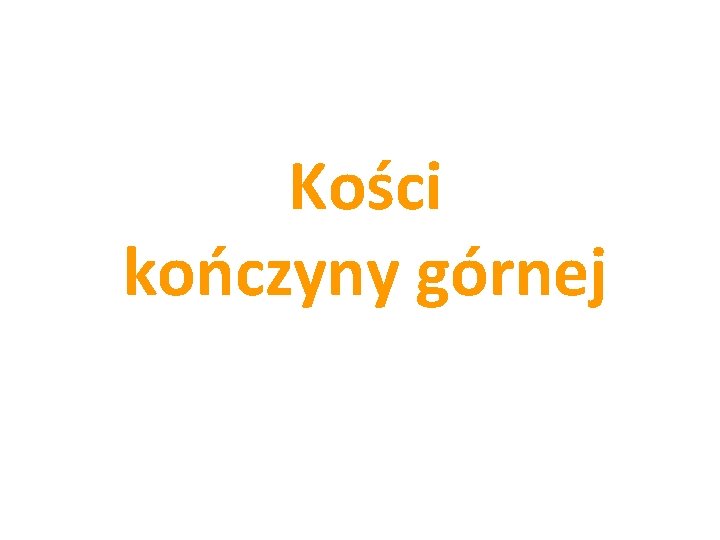 Kości kończyny górnej 