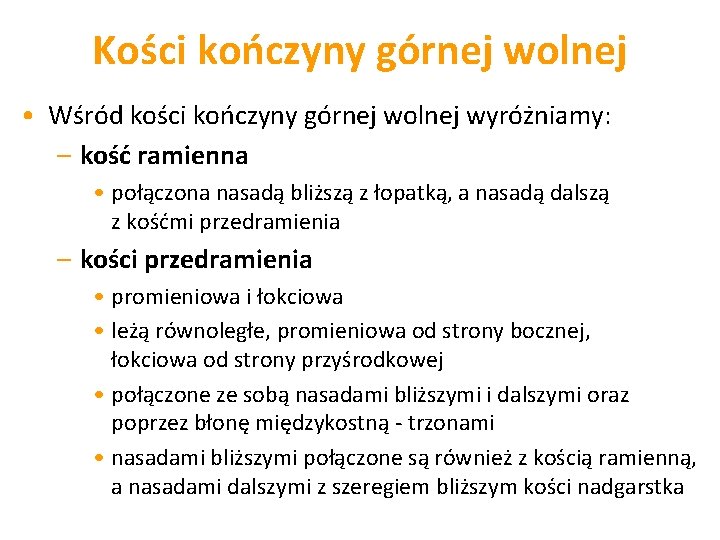 Kości kończyny górnej wolnej • Wśród kości kończyny górnej wolnej wyróżniamy: – kość ramienna