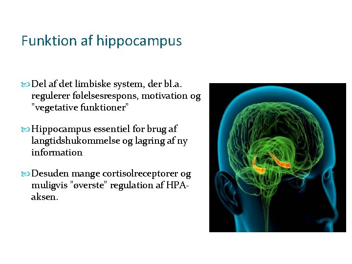 Funktion af hippocampus Del af det limbiske system, der bl. a. regulerer følelsesrespons, motivation Funktion af hippocampus Del af det limbiske system, der bl. a. regulerer følelsesrespons, motivation