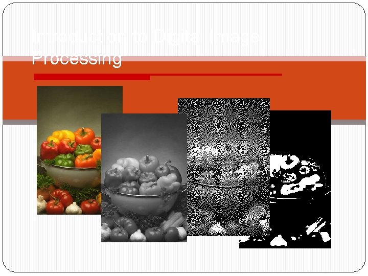 Introduction to Digital Image Processing 