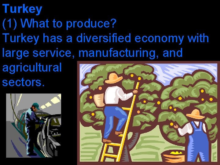 Turkey (1) What to produce? Turkey has a diversified economy with large service, manufacturing,
