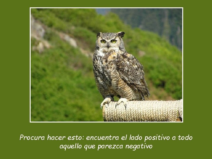 Procura hacer esto: encuentra el lado positivo a todo aquello que parezca negativo 