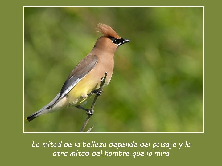 La mitad de la belleza depende del paisaje y la otra mitad del hombre