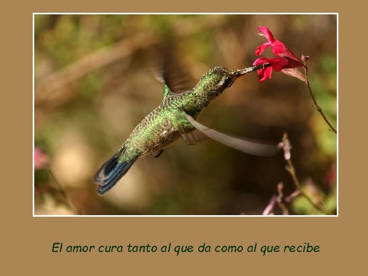 El amor cura tanto al que da como al que recibe 