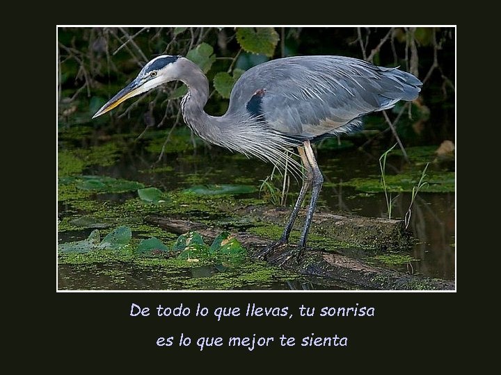 De todo lo que llevas, tu sonrisa es lo que mejor te sienta 