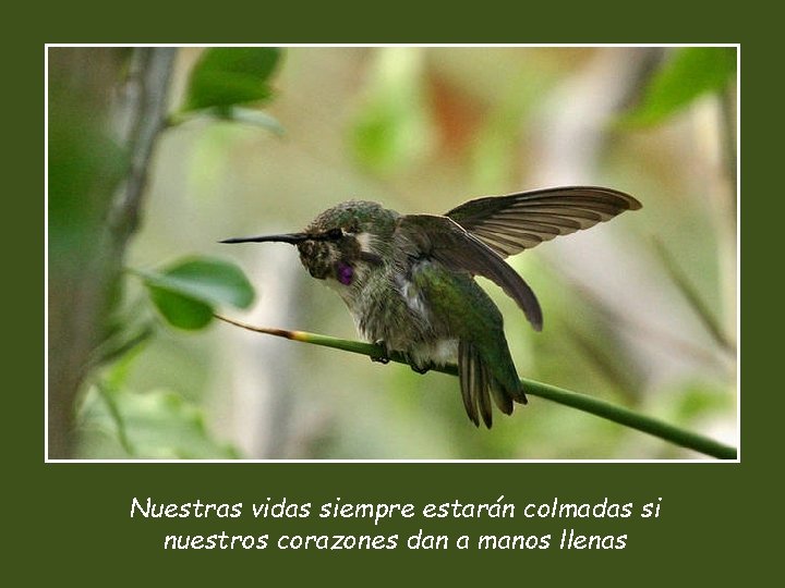Nuestras vidas siempre estarán colmadas si nuestros corazones dan a manos llenas 