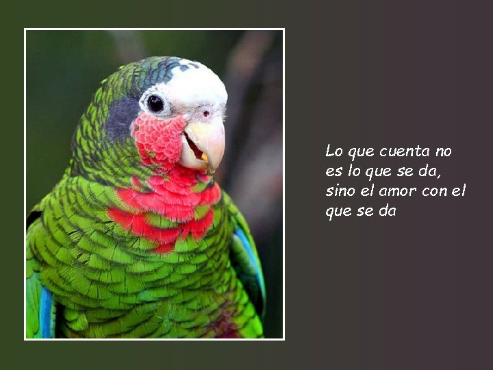 Lo que cuenta no es lo que se da, sino el amor con el