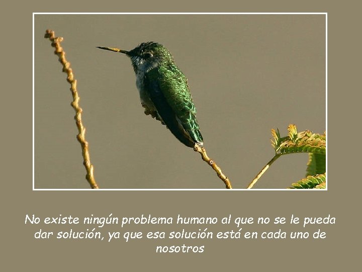 No existe ningún problema humano al que no se le pueda dar solución, ya