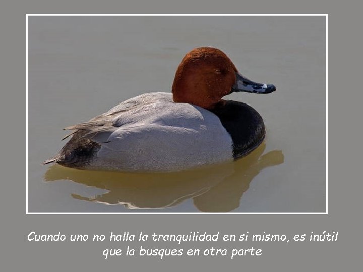 Cuando uno no halla la tranquilidad en si mismo, es inútil que la busques