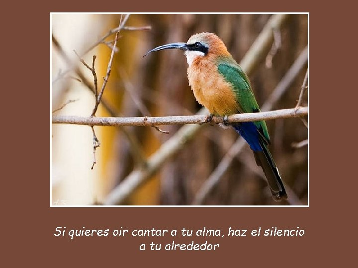 Si quieres oir cantar a tu alma, haz el silencio a tu alrededor 
