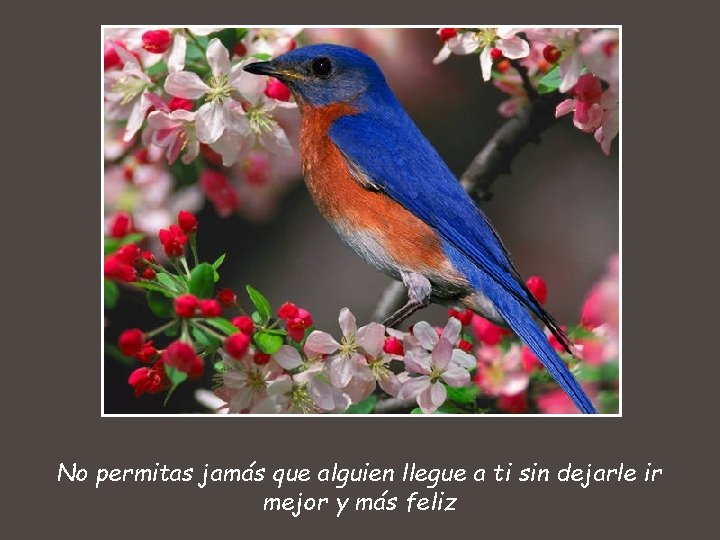 No permitas jamás que alguien llegue a ti sin dejarle ir mejor y más