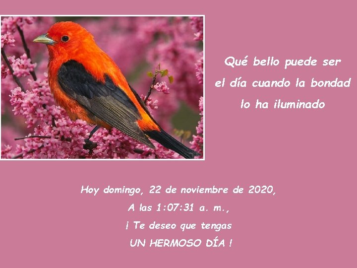 Qué bello puede ser el día cuando la bondad lo ha iluminado Hoy domingo,