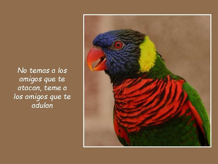 No temas a los amigos que te atacan, teme a los amigos que te