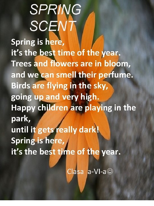 SPRING SCENT SPRING IS HERE, Spring is here, IT’S THE BEST TIME OF THE
