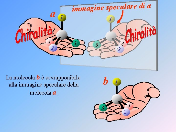 a 4 2 immagine speculare di a 1 1 3 La molecola b è