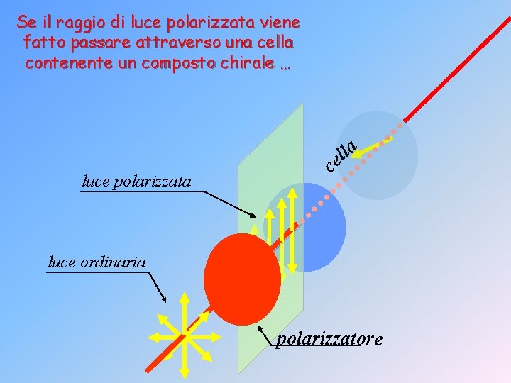 Se il raggio di luce polarizzata viene fatto passare attraverso una cella contenente un
