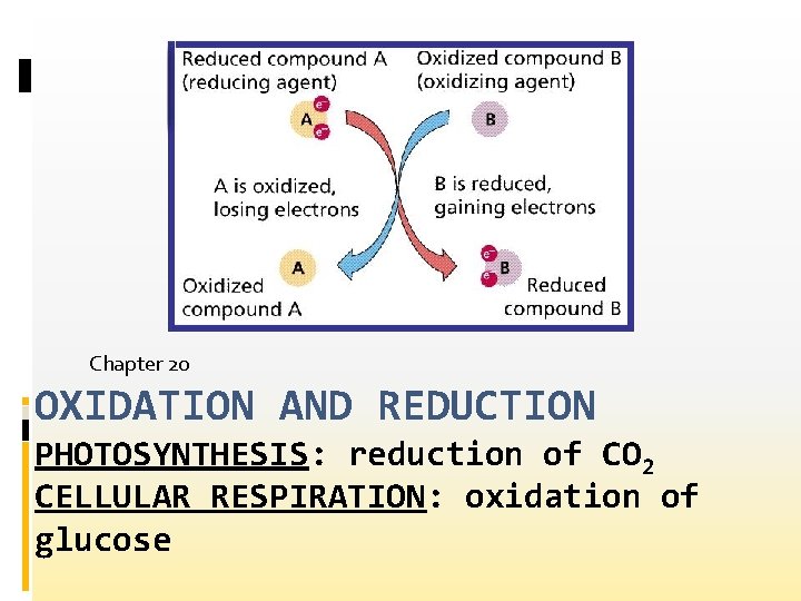 Chapter 20 OXIDATION AND REDUCTION PHOTOSYNTHESIS: reduction of CO 2 CELLULAR RESPIRATION: oxidation of